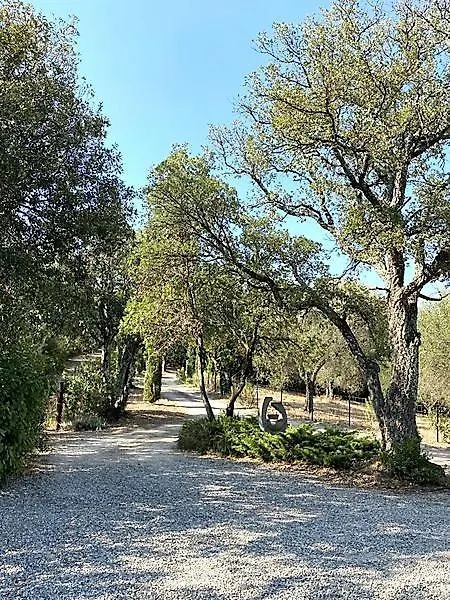 Il Falco - Rustico-Villa Mit Privatem Pool In Alleinlage Caldana 0*,